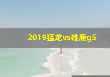 2019猛龙vs雄鹿g5