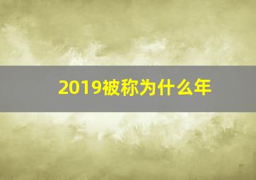 2019被称为什么年