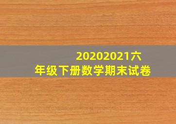 20202021六年级下册数学期末试卷