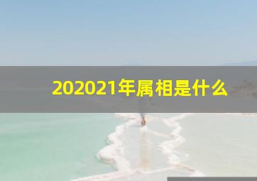 202021年属相是什么