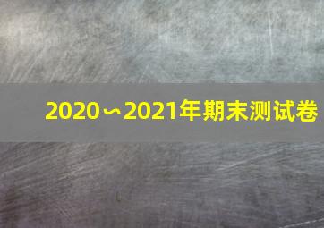 2020∽2021年期末测试卷