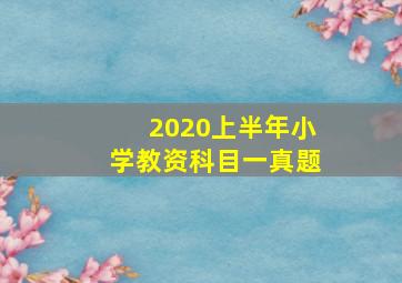 2020上半年小学教资科目一真题