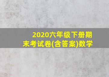 2020六年级下册期末考试卷(含答案)数学