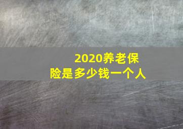 2020养老保险是多少钱一个人