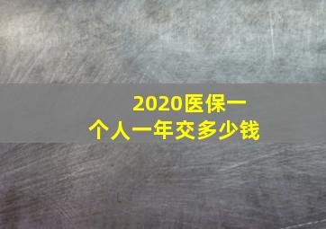 2020医保一个人一年交多少钱