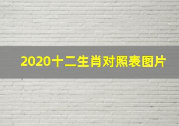 2020十二生肖对照表图片