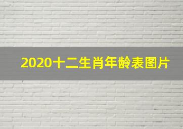 2020十二生肖年龄表图片