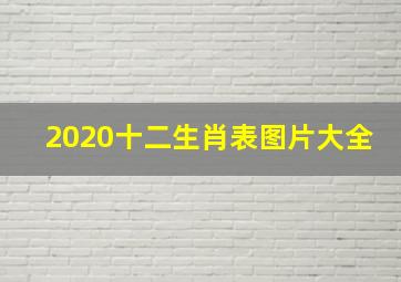 2020十二生肖表图片大全