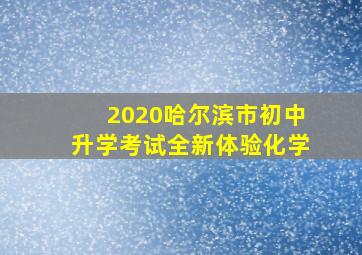 2020哈尔滨市初中升学考试全新体验化学