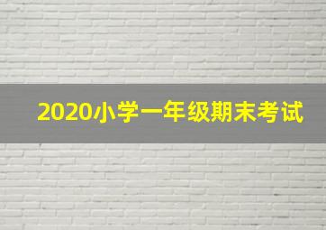 2020小学一年级期末考试