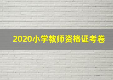 2020小学教师资格证考卷