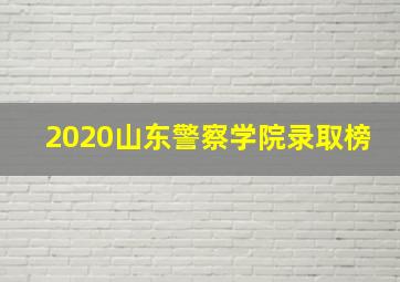 2020山东警察学院录取榜