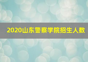 2020山东警察学院招生人数