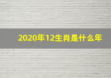 2020年12生肖是什么年