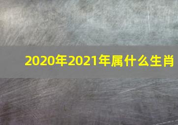 2020年2021年属什么生肖