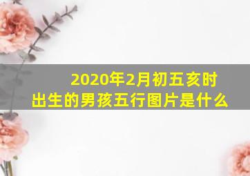 2020年2月初五亥时出生的男孩五行图片是什么