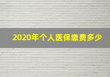 2020年个人医保缴费多少