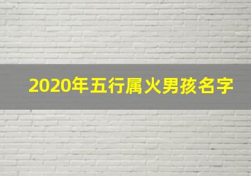 2020年五行属火男孩名字