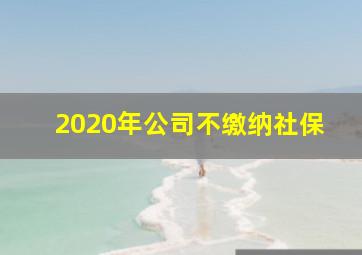 2020年公司不缴纳社保