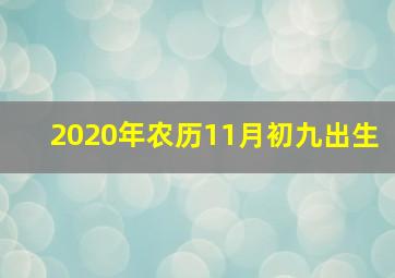 2020年农历11月初九出生