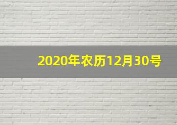 2020年农历12月30号