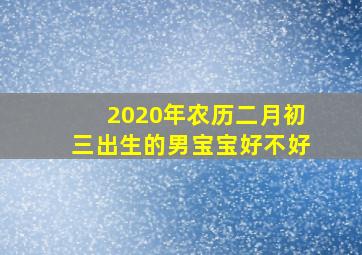 2020年农历二月初三出生的男宝宝好不好