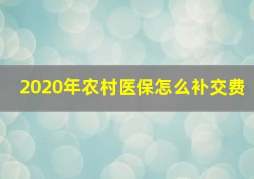 2020年农村医保怎么补交费