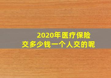 2020年医疗保险交多少钱一个人交的呢