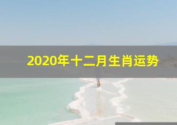 2020年十二月生肖运势