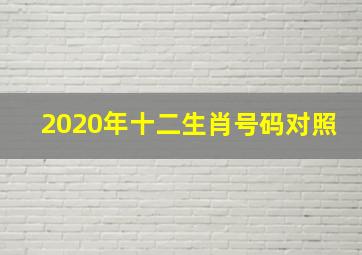 2020年十二生肖号码对照