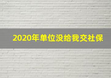 2020年单位没给我交社保