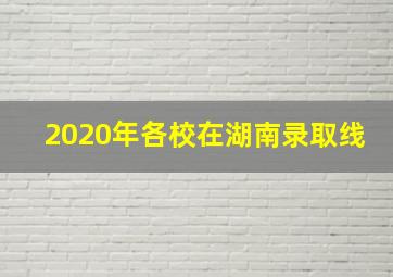 2020年各校在湖南录取线