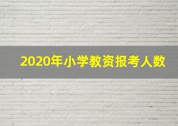 2020年小学教资报考人数