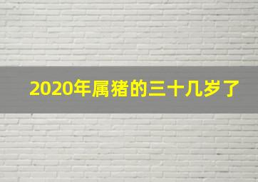 2020年属猪的三十几岁了