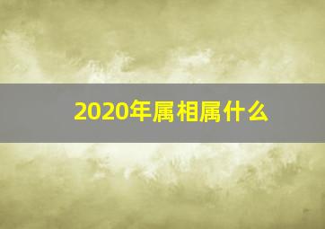 2020年属相属什么