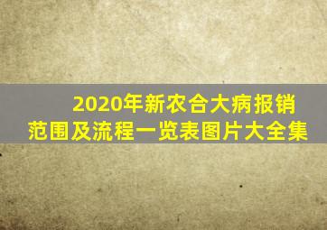 2020年新农合大病报销范围及流程一览表图片大全集