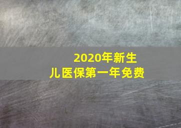 2020年新生儿医保第一年免费