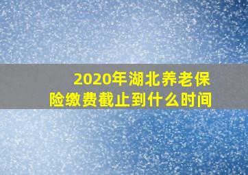 2020年湖北养老保险缴费截止到什么时间