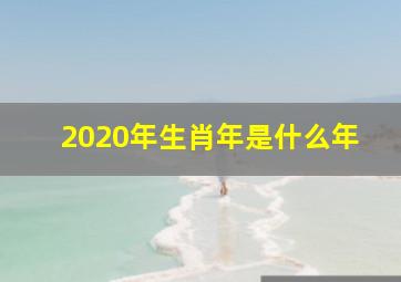 2020年生肖年是什么年