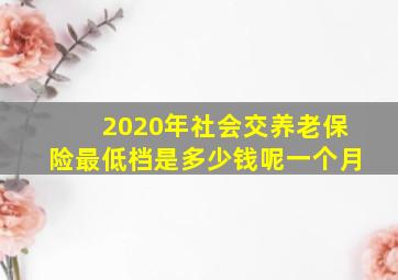 2020年社会交养老保险最低档是多少钱呢一个月