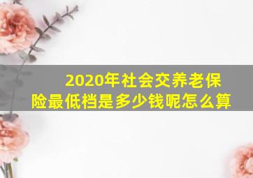 2020年社会交养老保险最低档是多少钱呢怎么算