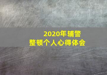 2020年辅警整顿个人心得体会