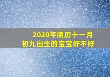 2020年阴历十一月初九出生的宝宝好不好