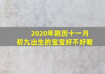 2020年阴历十一月初九出生的宝宝好不好呢