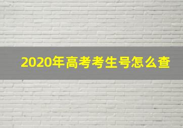 2020年高考考生号怎么查