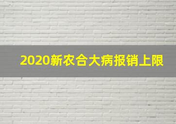 2020新农合大病报销上限