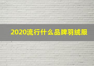 2020流行什么品牌羽绒服