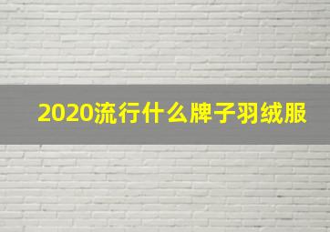 2020流行什么牌子羽绒服