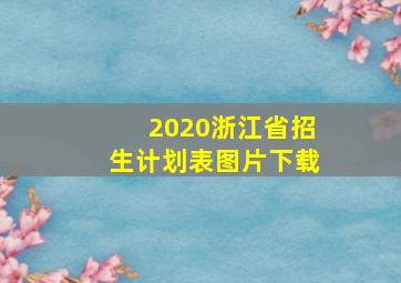 2020浙江省招生计划表图片下载