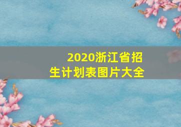 2020浙江省招生计划表图片大全